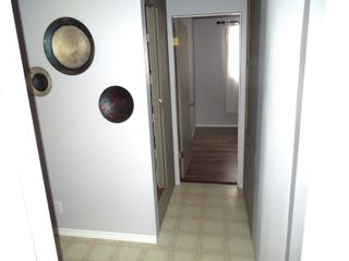 Photo 29: 10932 74 Street in Edmonton: Zone 09 House for sale : MLS®# E4372249