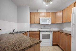 Photo 16: 210 428 Chaparral Ravine View SE in Calgary: Chaparral Apartment for sale : MLS®# A2114017