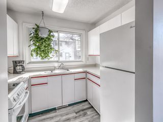 Photo 11: 140 6440 4 Street NW in Calgary: Thorncliffe Row/Townhouse for sale : MLS®# A1197270