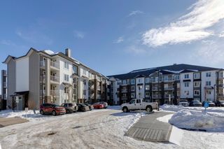 Photo 27: 1301 6118 80 Avenue NE in Calgary: Saddle Ridge Apartment for sale : MLS®# A2031427