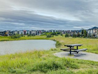 Photo 50: 6 SAGE MEADOWS Way NW in Calgary: Sage Hill Detached for sale : MLS®# A1009995