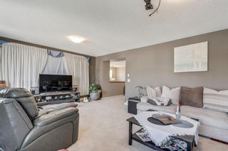 Photo 24: 19 COPPERLEAF Crescent SE in Calgary: Copperfield Detached for sale : MLS®# A1022410