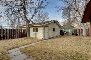 Photo 16: 2523 62 Street NE in Calgary: Pineridge Semi Detached for sale : MLS®# A1204768