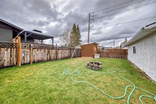 Photo 48: 155 Maitland Drive NE in Calgary: Marlborough Park Detached for sale : MLS®# A2129317