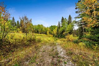 Photo 6: 64 Hawk's Landing Drive: Rural Foothills County Residential Land for sale : MLS®# A2079106