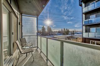 Photo 18: 201 335 Garry Crescent NE in Calgary: Greenview Apartment for sale : MLS®# A2017197