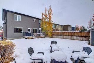 Photo 30: 279 Mountainview Drive: Okotoks Detached for sale : MLS®# A2037981