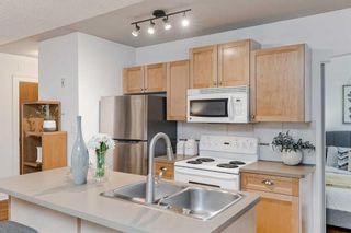 Photo 14: 5 330 19 Avenue SW in Calgary: Mission Apartment for sale : MLS®# A2126034