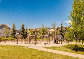Photo 41: 451 Silverado Plains Circle SW in Calgary: Silverado Detached for sale : MLS®# A1239203