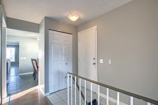 Photo 19: 51 Erin Grove Place SE in Calgary: Erin Woods Detached for sale : MLS®# A1180419