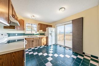 Photo 16: 55 Erin Road SE in Calgary: Erin Woods Detached for sale : MLS®# A2002318