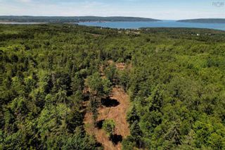 Photo 11: Lot Highway 101 in Smiths Cove: Digby County Vacant Land for sale (Annapolis Valley)  : MLS®# 202303566