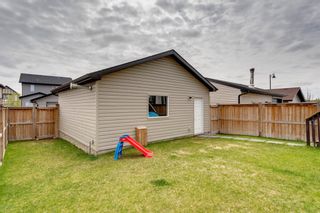 Photo 14: 9 Elgin Meadows Green SE in Calgary: McKenzie Towne Detached for sale : MLS®# A1110970