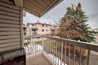 Photo 35: 14 3015 51 Street SW in Calgary: Glenbrook Row/Townhouse for sale : MLS®# A2128442