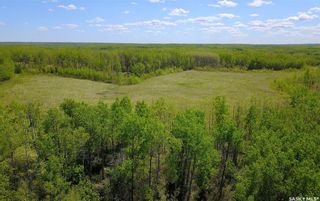 Photo 10: Recreation Land-W of Big Shell in Meeting Lake: Lot/Land for sale (Meeting Lake Rm No.466)  : MLS®# SK896706