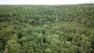 Photo 15: Lot Greenfield Road in Greenfield: Kings County Vacant Land for sale (Annapolis Valley)  : MLS®# 202403693