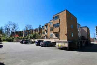 Photo 19: 23 11900 228 Street in Maple Ridge: East Central Condo for sale in "MOONLITE GROVE" : MLS®# R2568533