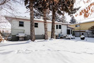 Photo 11: 4023 Centre B Street NW in Calgary: Highland Park Detached for sale : MLS®# A2023749