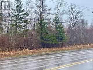 Photo 4: Lot Route 16 in Melrose: Vacant Land for sale : MLS®# M157122