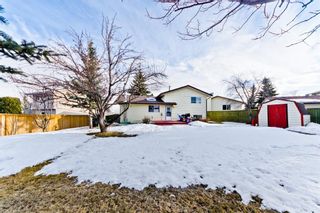 Photo 5: 19 Pinebrook Place NE in Calgary: Pineridge Detached for sale : MLS®# A1077648