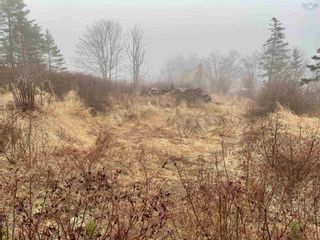 Photo 3: Lot 217 Highway in Rossway: Digby County Vacant Land for sale (Annapolis Valley)  : MLS®# 202205790