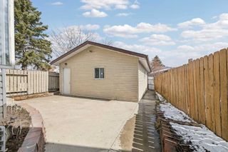 Photo 30: 46 Templeby Way NE in Calgary: Temple Detached for sale : MLS®# A2124383