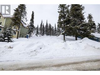 Photo 25: 7370 Porcupine Road in Big White: Vacant Land for sale : MLS®# 10304581