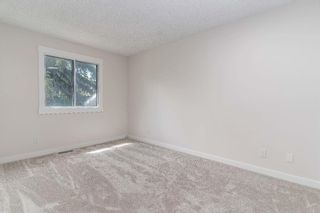 Photo 15: 428 Templeview Drive NE in Calgary: Temple Semi Detached for sale : MLS®# A1236606