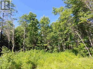 Photo 2: Lot 5 Birch Lane in Georgetown Royalty: Vacant Land for sale : MLS®# 202216488