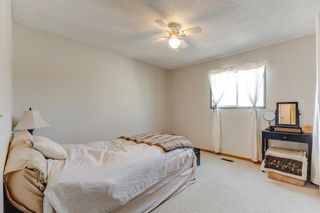 Photo 17: 27 Martinview Crescent NE in Calgary: Martindale Detached for sale : MLS®# A2042445