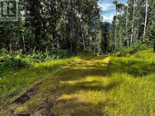 Photo 25: DL 1132 TELKWA HIGH ROAD in Smithers: Vacant Land for sale : MLS®# R2708512
