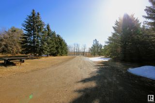 Photo 7: 55104 RGE RD 255: Rural Sturgeon County House for sale : MLS®# E4381092