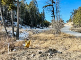 Photo 12: 817 KPOKL ROAD in Invermere: Vacant Land for sale : MLS®# 2469457
