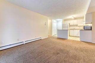 Photo 11: 409 1717 60 Street SE in Calgary: Red Carpet Apartment for sale : MLS®# A2010861