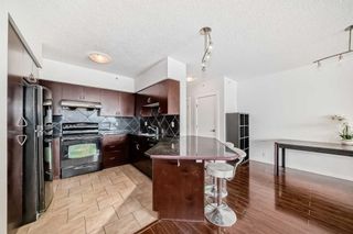 Photo 5: 518 8880 Horton Road SW in Calgary: Haysboro Apartment for sale : MLS®# A2129175