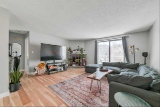 Photo 12: 301 930 18 Avenue SW in Calgary: Lower Mount Royal Apartment for sale : MLS®# A2122478