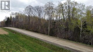 Photo 6: Lot McKeaghan Road in Williamstown: Vacant Land for sale : MLS®# NB086924