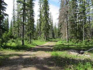 Photo 2: 70041 Highway 591: Rural Clearwater County Detached for sale : MLS®# C4305359