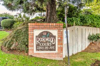 Photo 1: 213 22611 116 Avenue in Maple Ridge: East Central Condo for sale in "Rosewood Court" : MLS®# R2871429