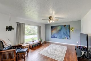 Photo 7: 908 34 Street SE in Calgary: Albert Park/Radisson Heights Detached for sale : MLS®# A1232063