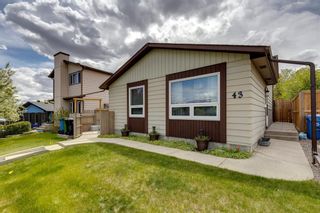 Photo 41: 43 Bernard Close NW in Calgary: Beddington Heights Detached for sale : MLS®# A1219607
