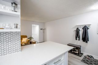 Photo 12: 6 605 67 Avenue SW in Calgary: Kingsland Apartment for sale : MLS®# A2047193