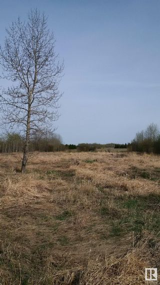 Photo 7: 57104 Hwy 38: Rural Sturgeon County Rural Land/Vacant Lot for sale : MLS®# E4281836