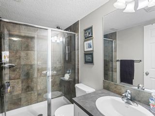 Photo 24: 255 Copperfield Manor SE in Calgary: Copperfield Detached for sale : MLS®# A2053429