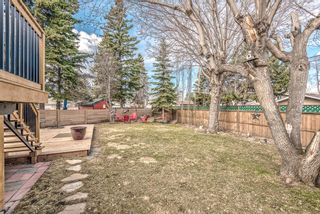 Photo 39: 3448 Bulyea Crescent NW in Calgary: Brentwood Detached for sale : MLS®# A1209807
