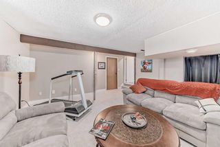 Photo 45: 440 Cantrell Drive SW in Calgary: Canyon Meadows Detached for sale : MLS®# A2113412