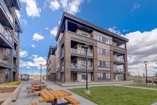 Photo 32: 3208 80 Greenbriar Place NW in Calgary: Greenwood/Greenbriar Apartment for sale : MLS®# A1234549