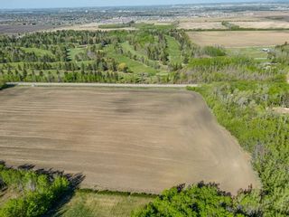 Photo 8: 38319 RR 270: Rural Red Deer County Commercial Land for sale : MLS®# A2046827
