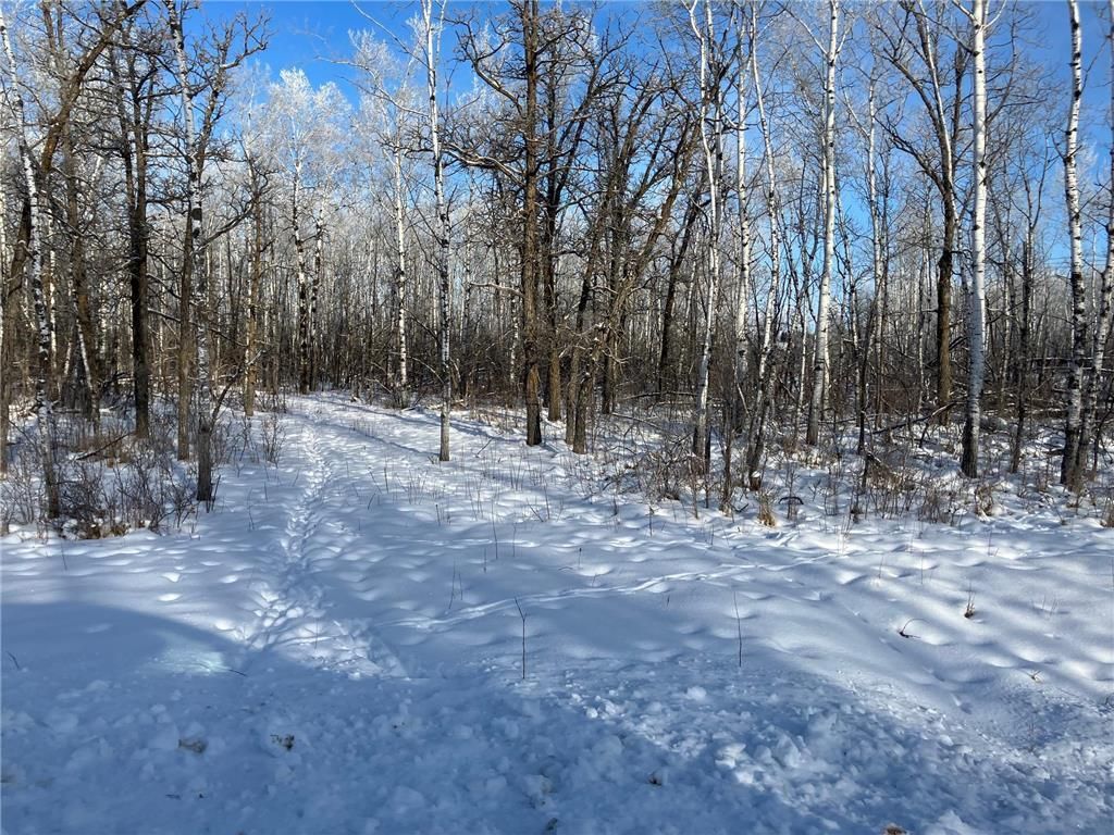 Main Photo: 15 Poplar Street in Roseau River: Vacant Land for sale : MLS®# 202401065