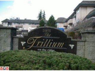 Photo 2: 308 21975 49TH Avenue in Langley: Murrayville Condo for sale : MLS®# F1104779